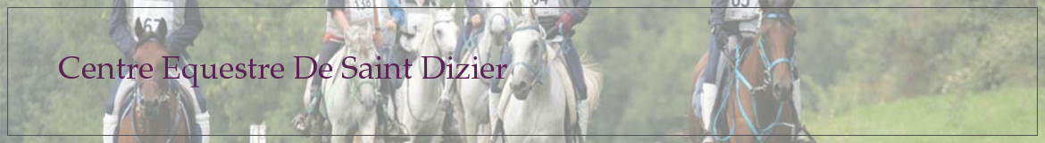 Centre Equestre De Saint Dizier